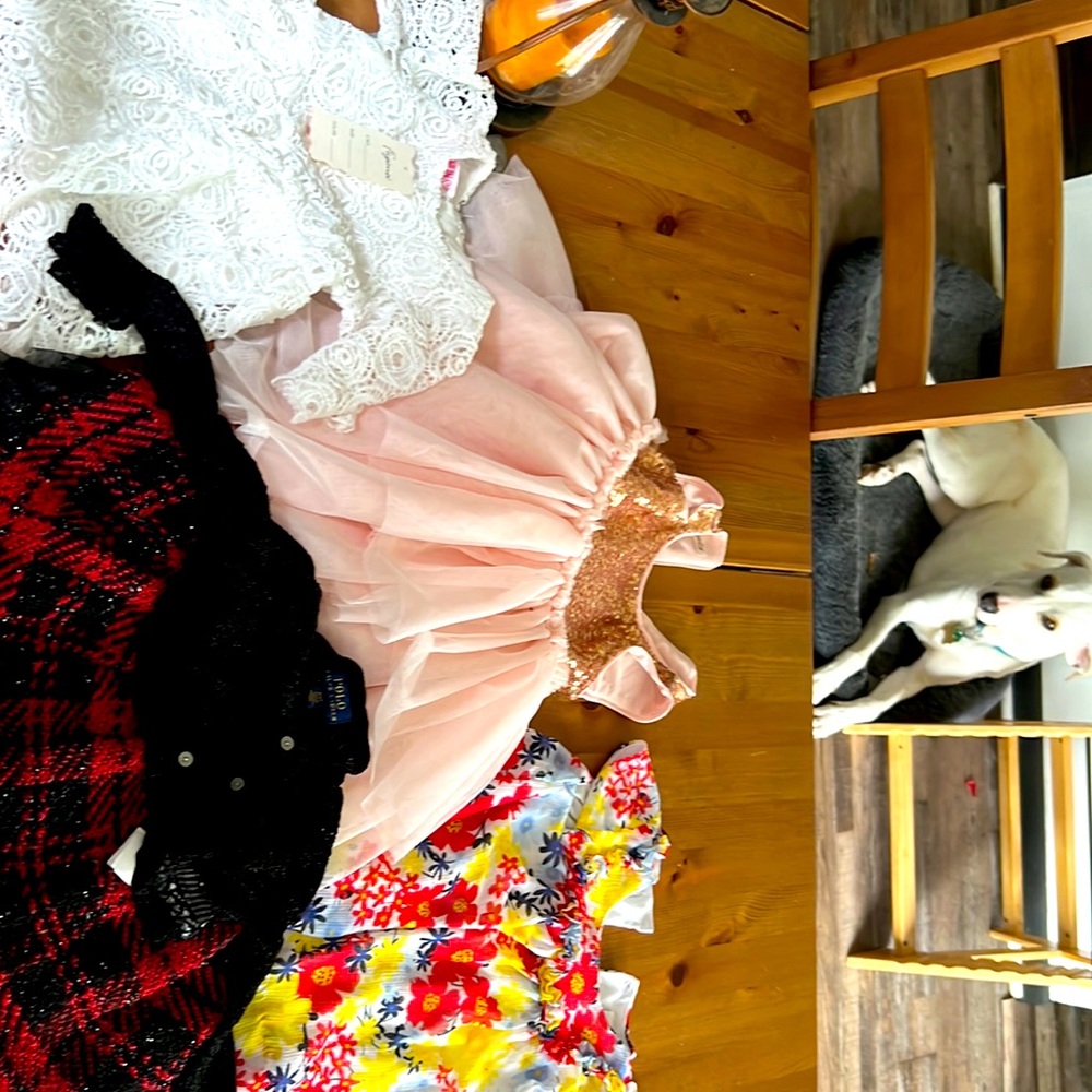 Beautiful 2T summer outfits Bundle
